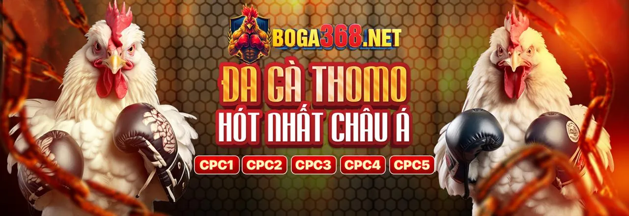 Đá Gà Trực Tuyến RS99 Khuyến Mãi 2026